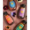 Wholesome Organic Honey, 100% Pure, Fair Trade, Non-GMO, 16 oz. Squeeze Bottle (Pack of 2), (Packaging May Vary)(Organic Honey)