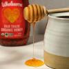 Wholesome Sweeteners 24-Ounce Organic Honey Bottle, 100% Pure, Fair Trade Certified, Non GMO Project Verified & Gluten Free, 1 Pack(16 OZ)
