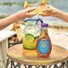 Wholesome Sweeteners 44-Ounce Organic Blue Agave Nectar, Fair Trade, 100% Pure, Non GMO, Gluten Free & Vegan, 2 Pack(44 Ounce (Pack of 2))